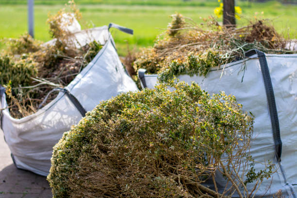 Professional Junk Removal Services in Mitchellville, IA